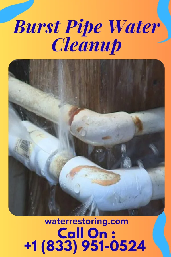 Burst Pipe Water Cleanup in Beaver Bay, MN