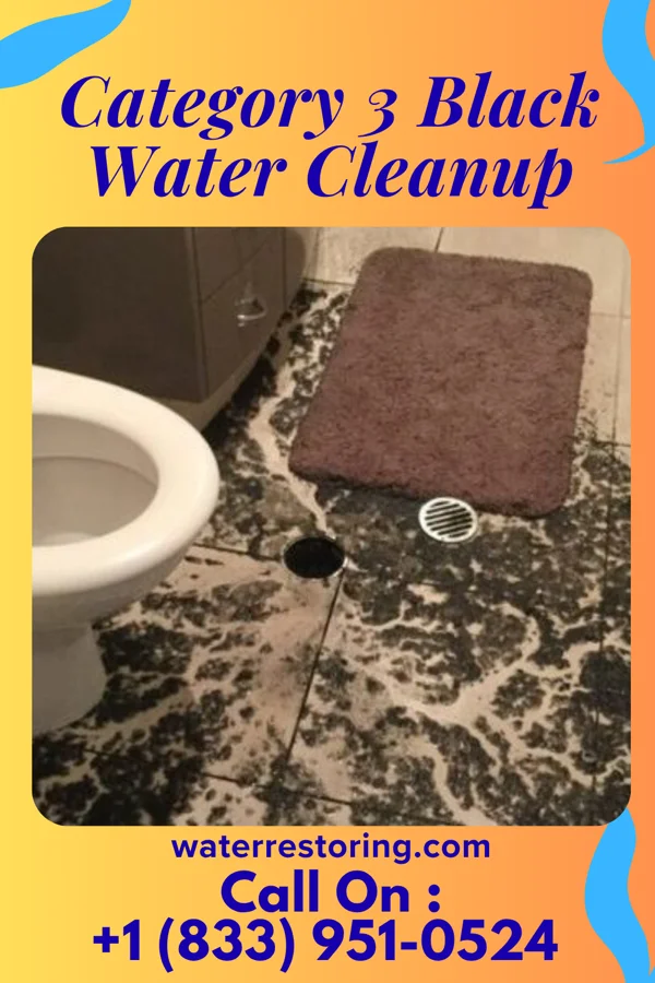 Category 3 Black Water Cleanup in Beaver Bay, MN