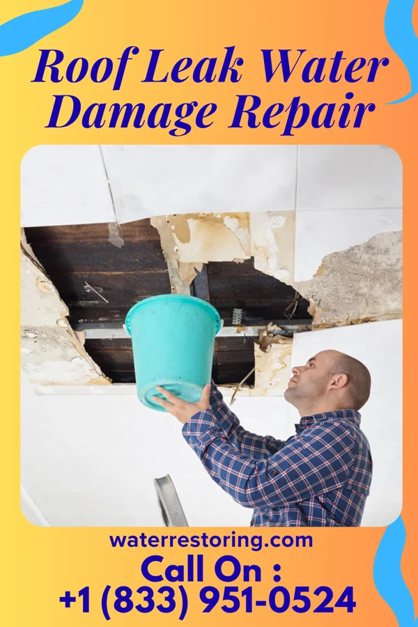 Roof Leak Water Damage Repair in Beaver Bay, MN